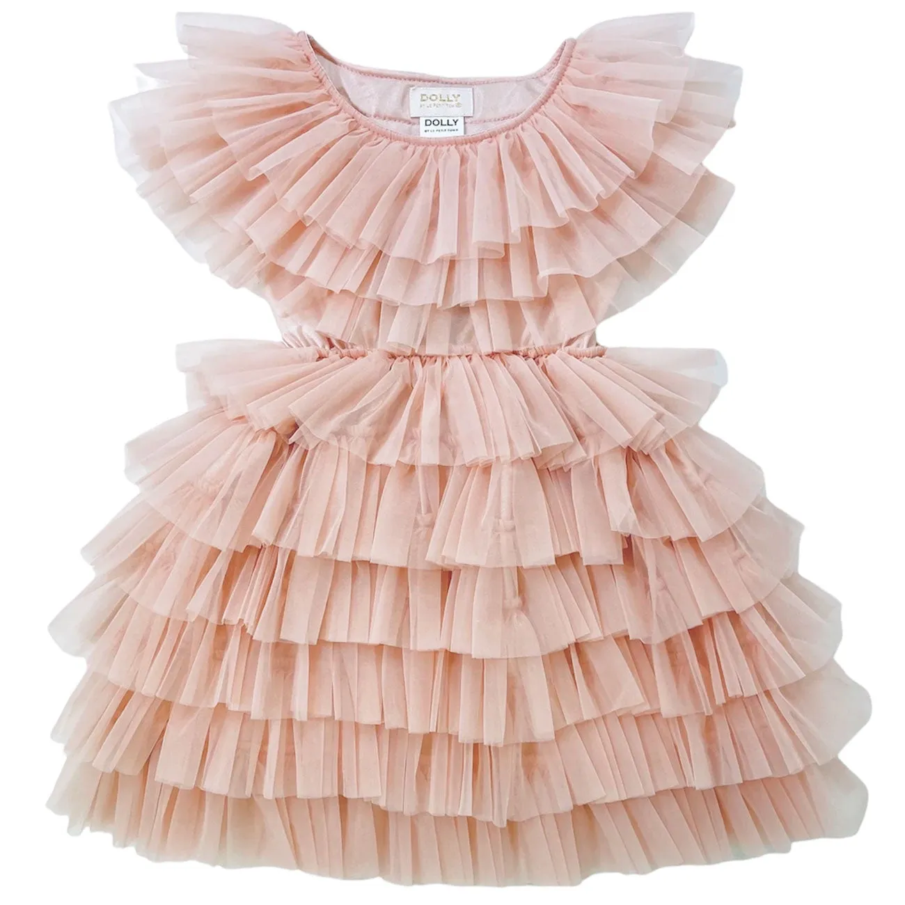 Ballet Pink Cake Dress