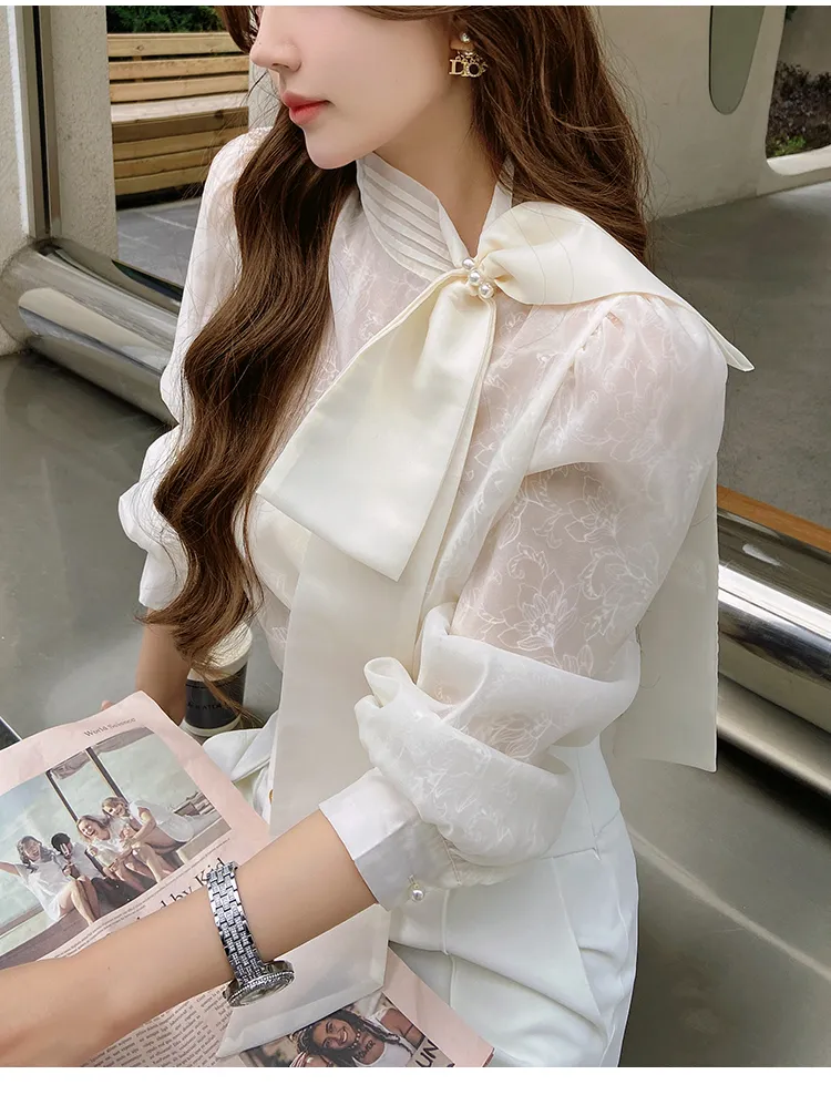 Long Sleeves Plain Office Elegant Top