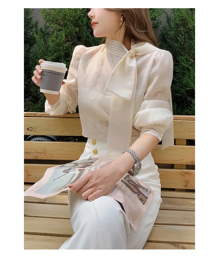 Long Sleeves Plain Office Elegant Top