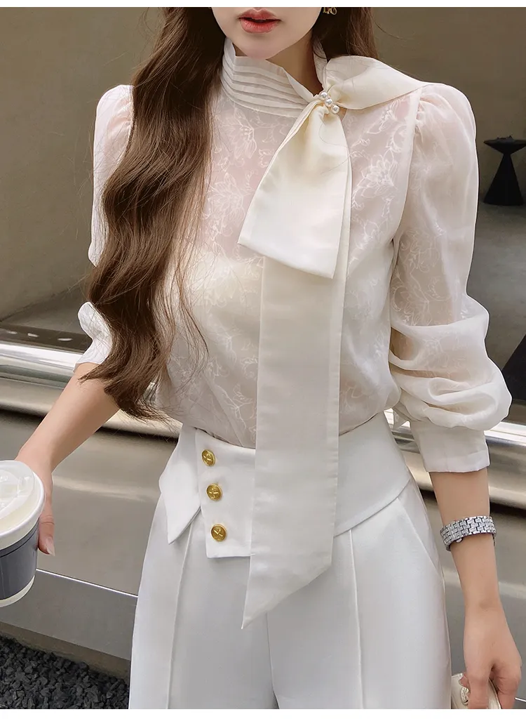 Long Sleeves Plain Office Elegant Top