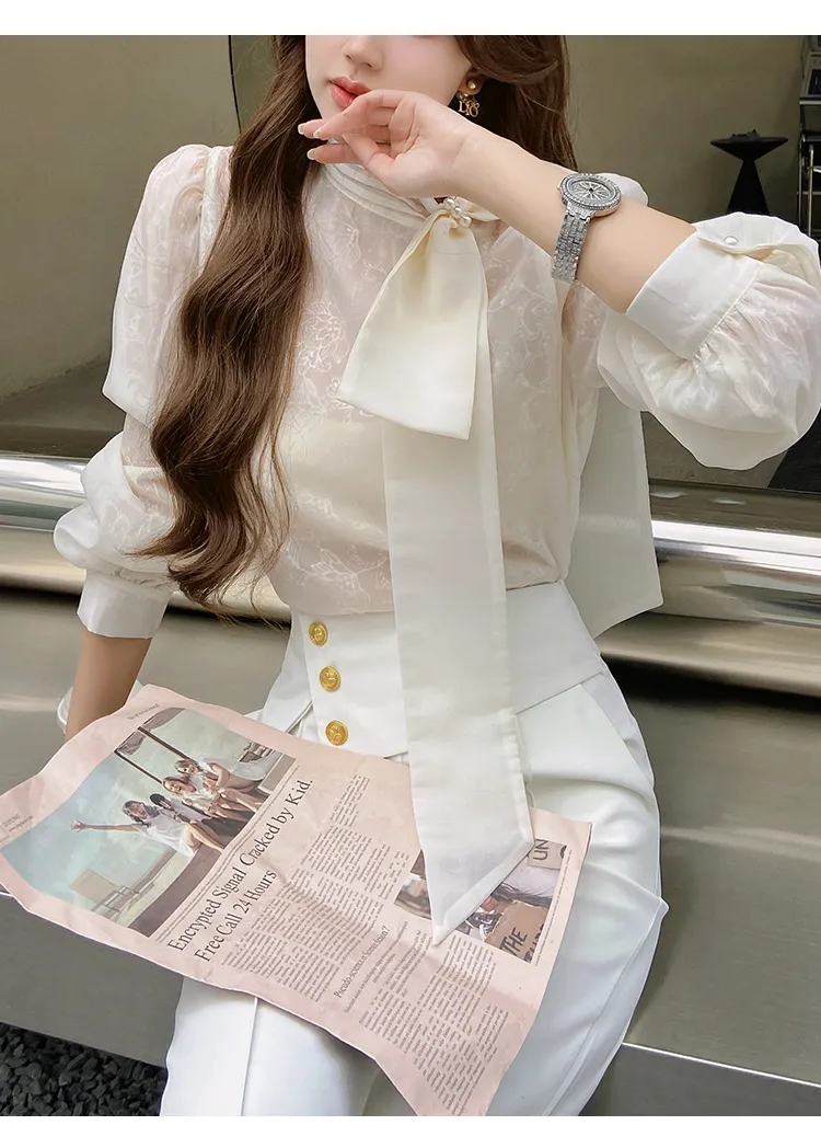 Long Sleeves Plain Office Elegant Top