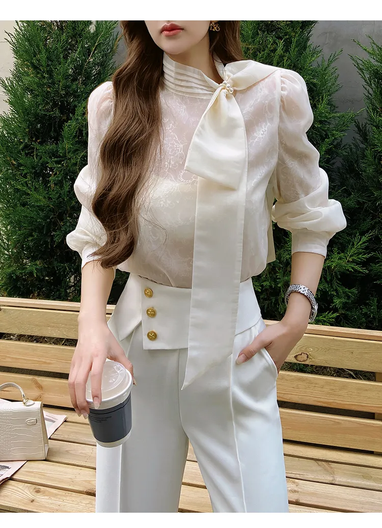 Long Sleeves Plain Office Elegant Top