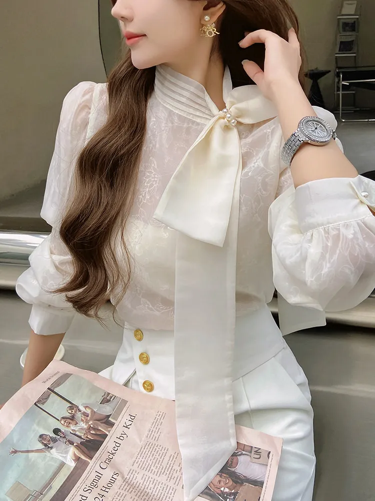 Long Sleeves Plain Office Elegant Top