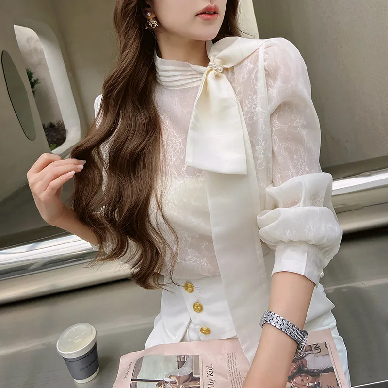 Long Sleeves Plain Office Elegant Top