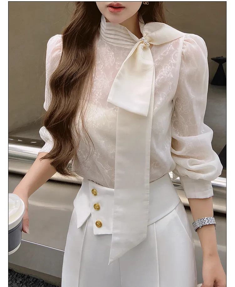 Long Sleeves Plain Office Elegant Top