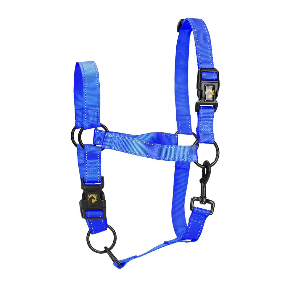 Excellent Horse Premium Halter Large Cob Blue