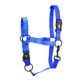 Excellent Horse Premium Halter Large Cob Blue