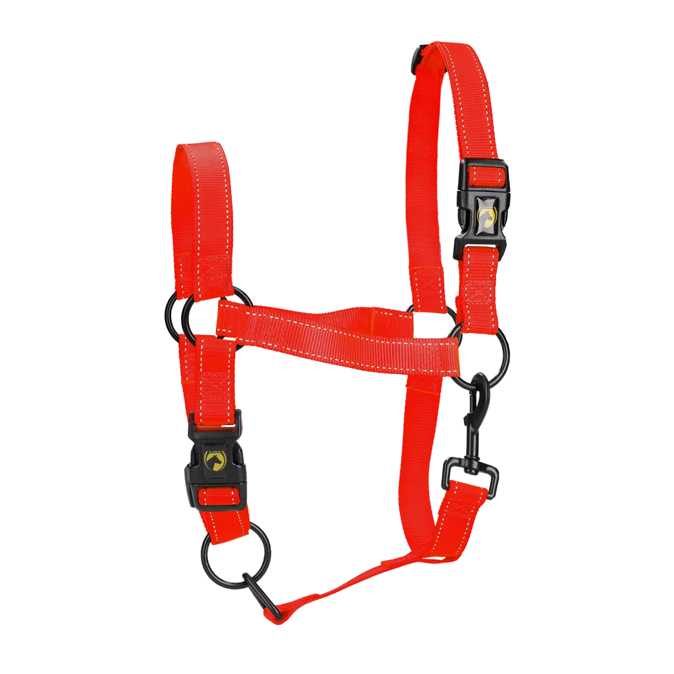 Red Pony Halter for Medium by Excellent Horse