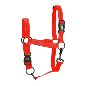 Red Pony Halter for Medium by Excellent Horse