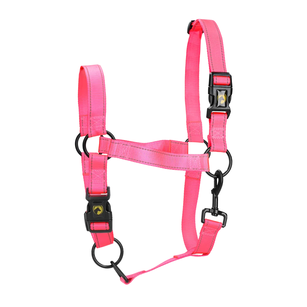 Pink Premium Foal Halter for Excellent Horses