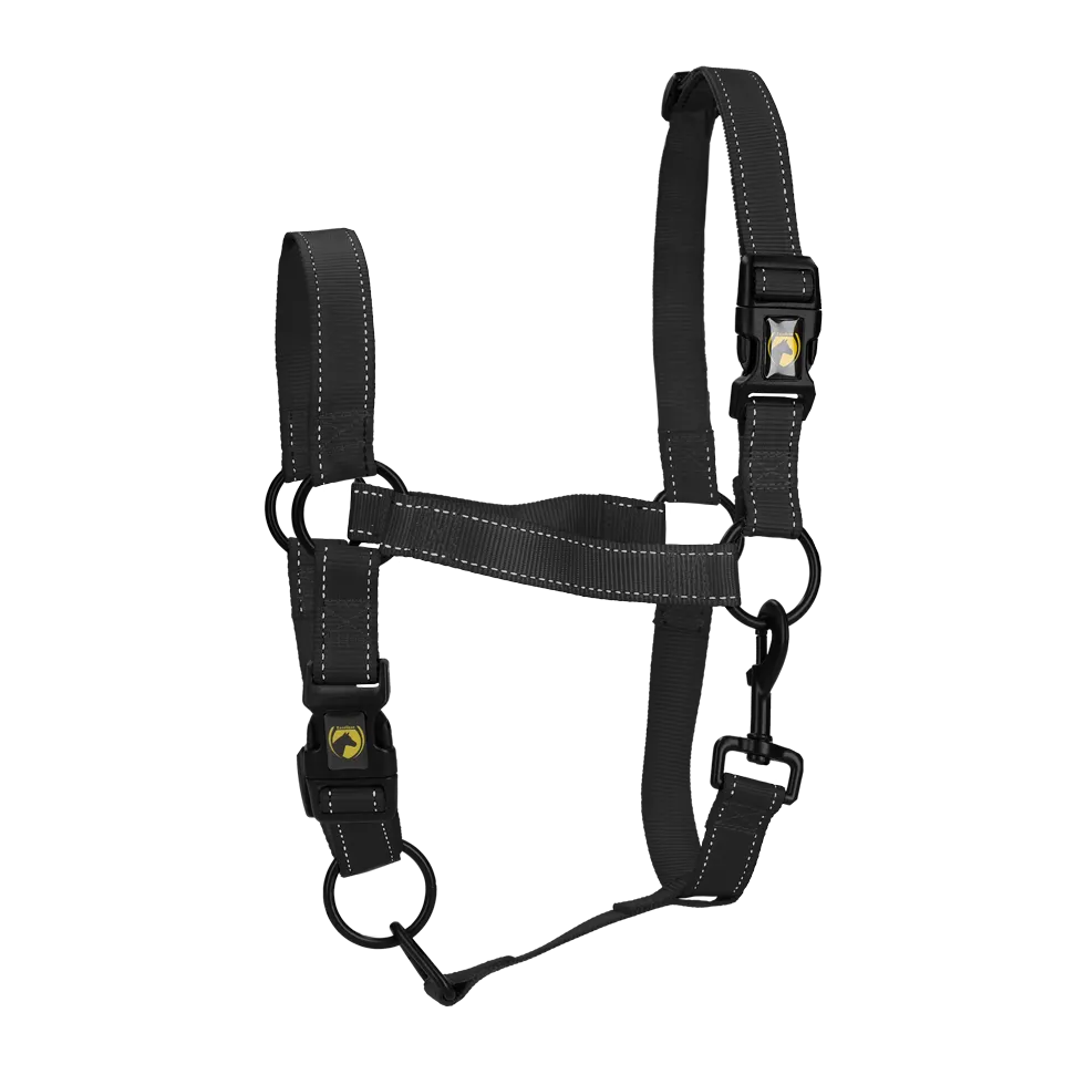 Black Premium Mini Foal Halter for Excellent Horses