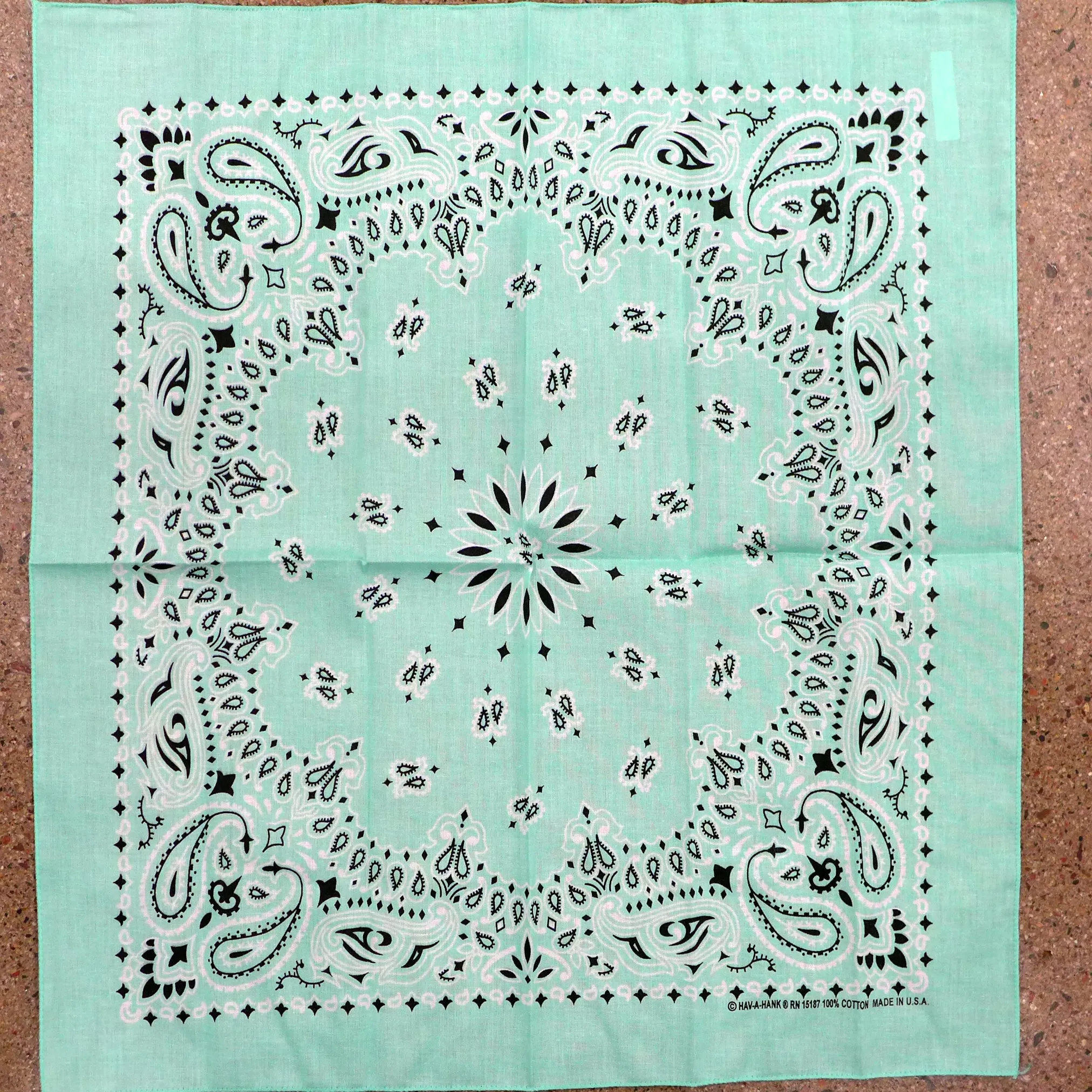 Mint Paisley Bandana