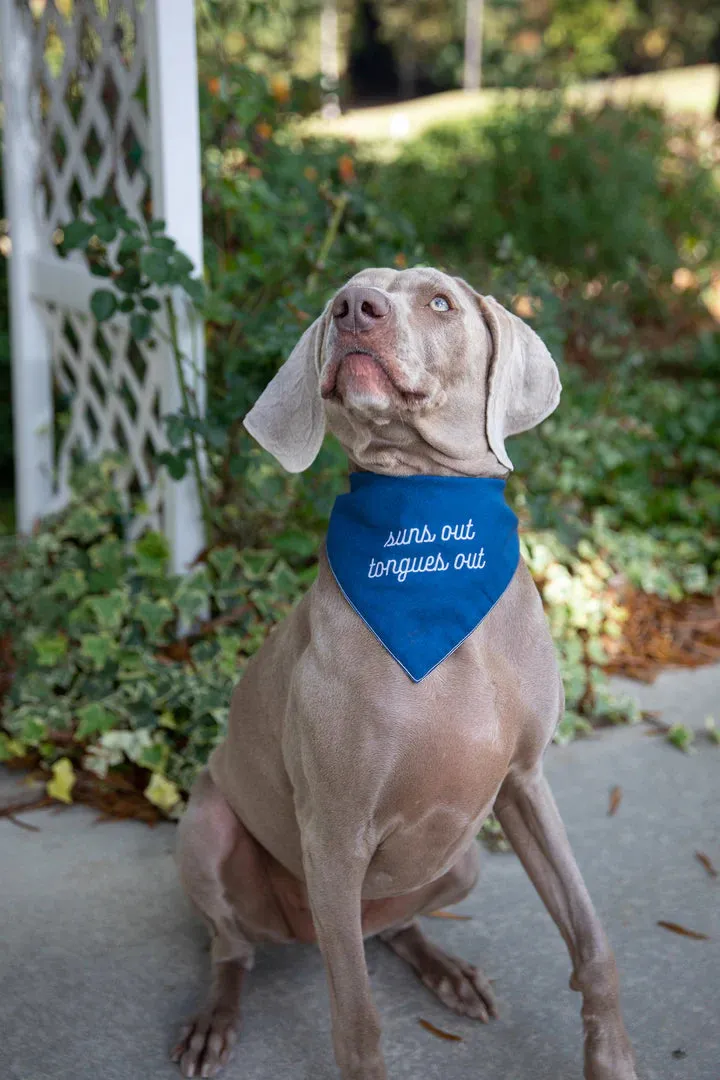 Pet Bandana for Sunny Days