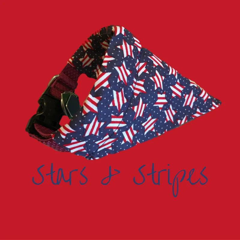 Stars and Stripes bandana