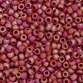 Toho Seed Beads 8/0 #768 Rainbow Frosted Red 1 Tube