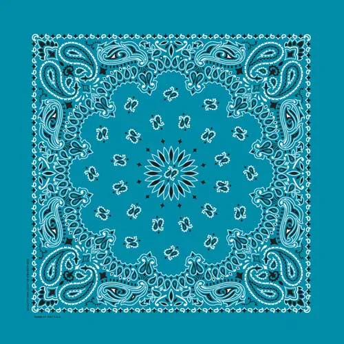 Turquoise Paisley Bandana